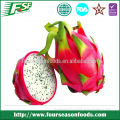 2014 High wholesale chinese dragon fruits iqf